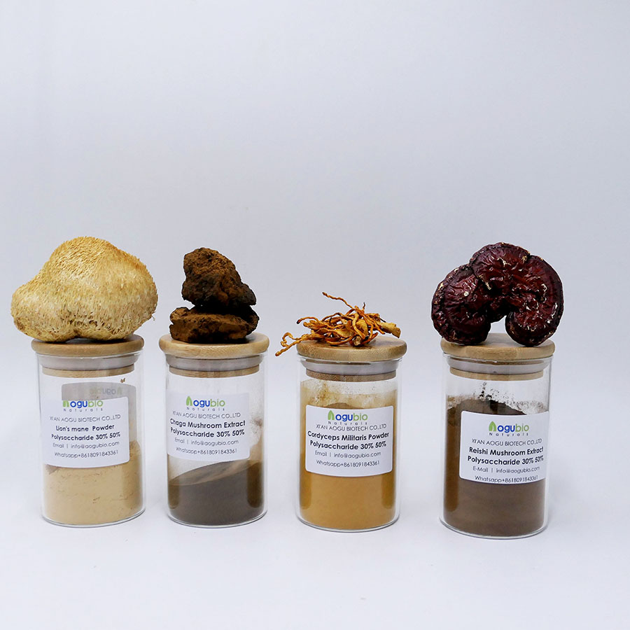 8 kinds of mushroom blend powder (2)